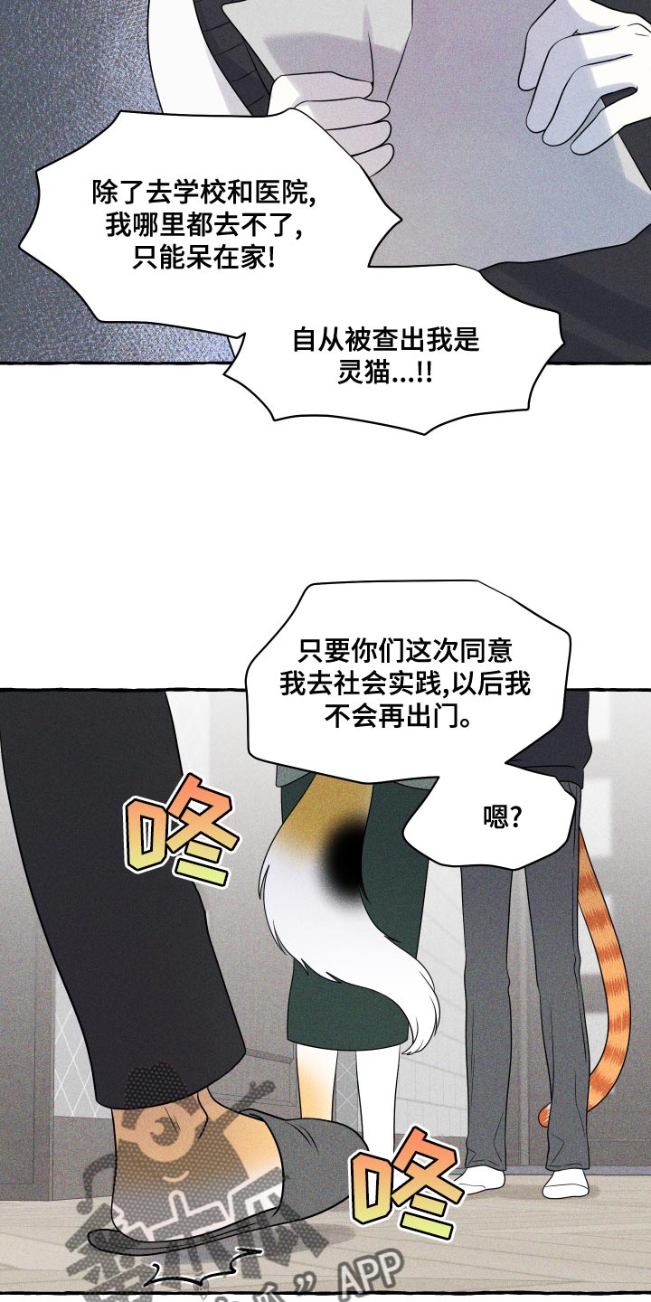 灵猫欧米伽双猫漫画,第97话1图