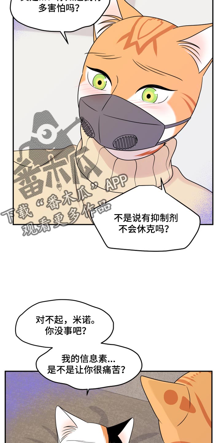 灵猫欧米伽又叫什么漫画,第52话2图