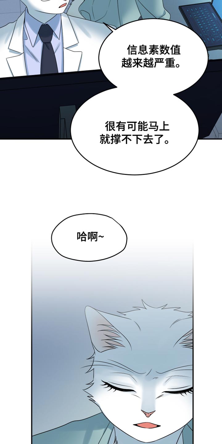 漫画灵猫欧米伽漫画,第163话2图