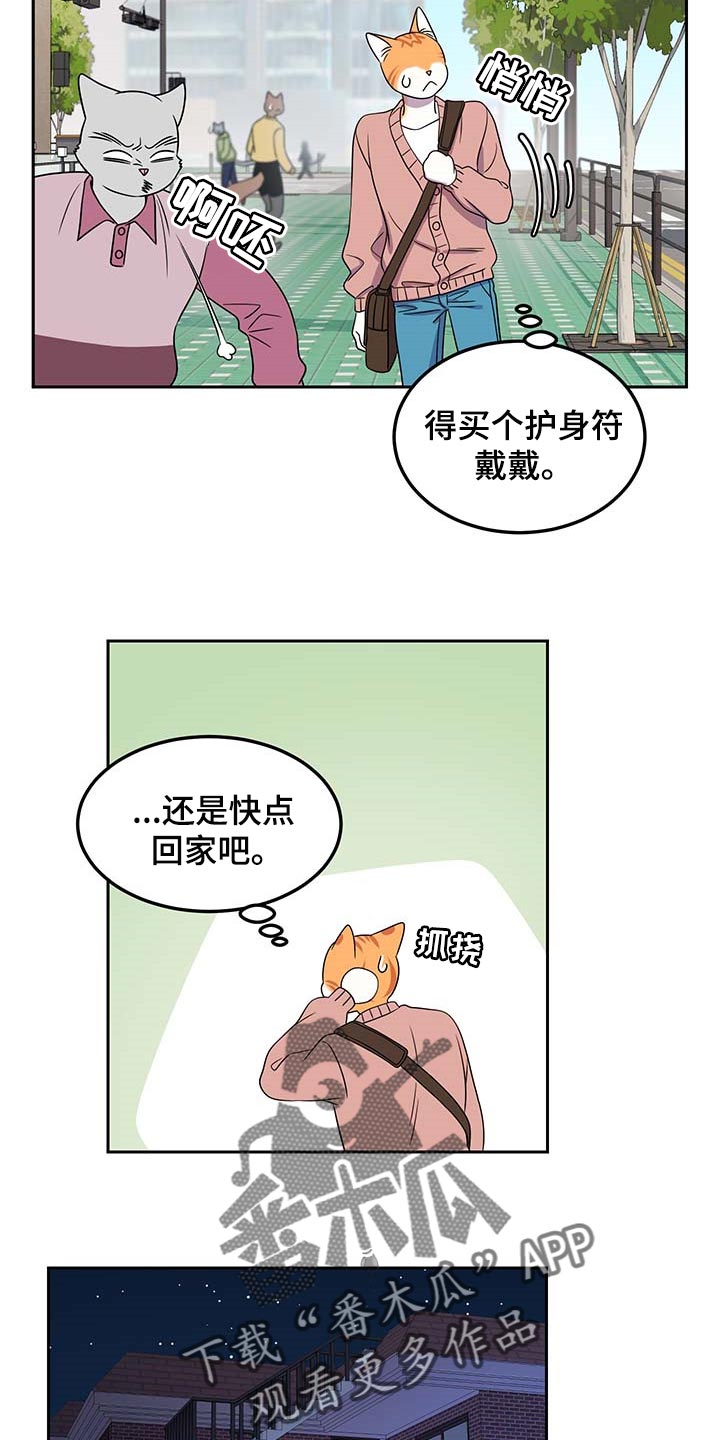 灵猫欧米伽视频漫画,第42话1图