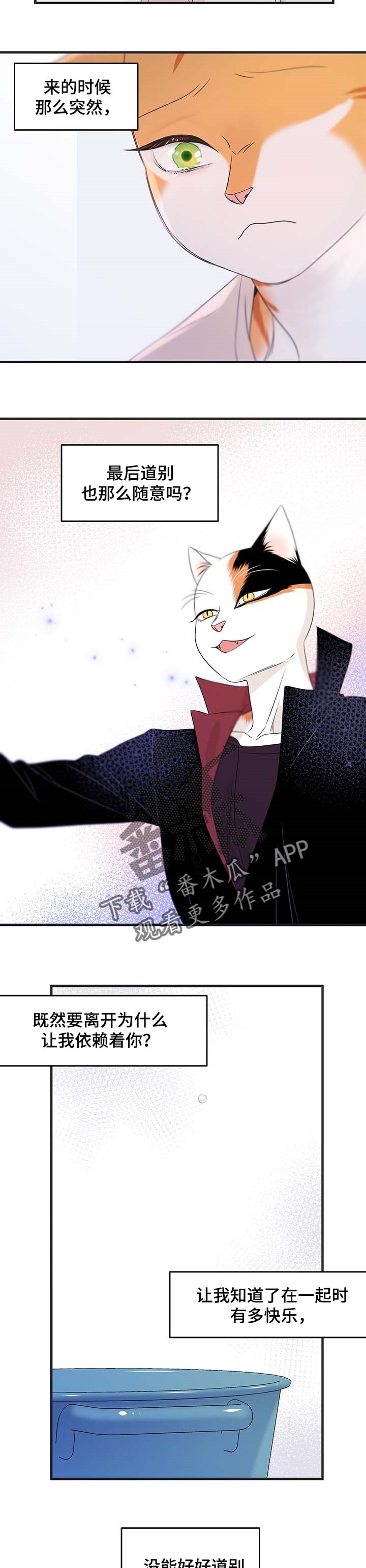 灵猫欧米伽第三季什么时候出漫画,第26话2图