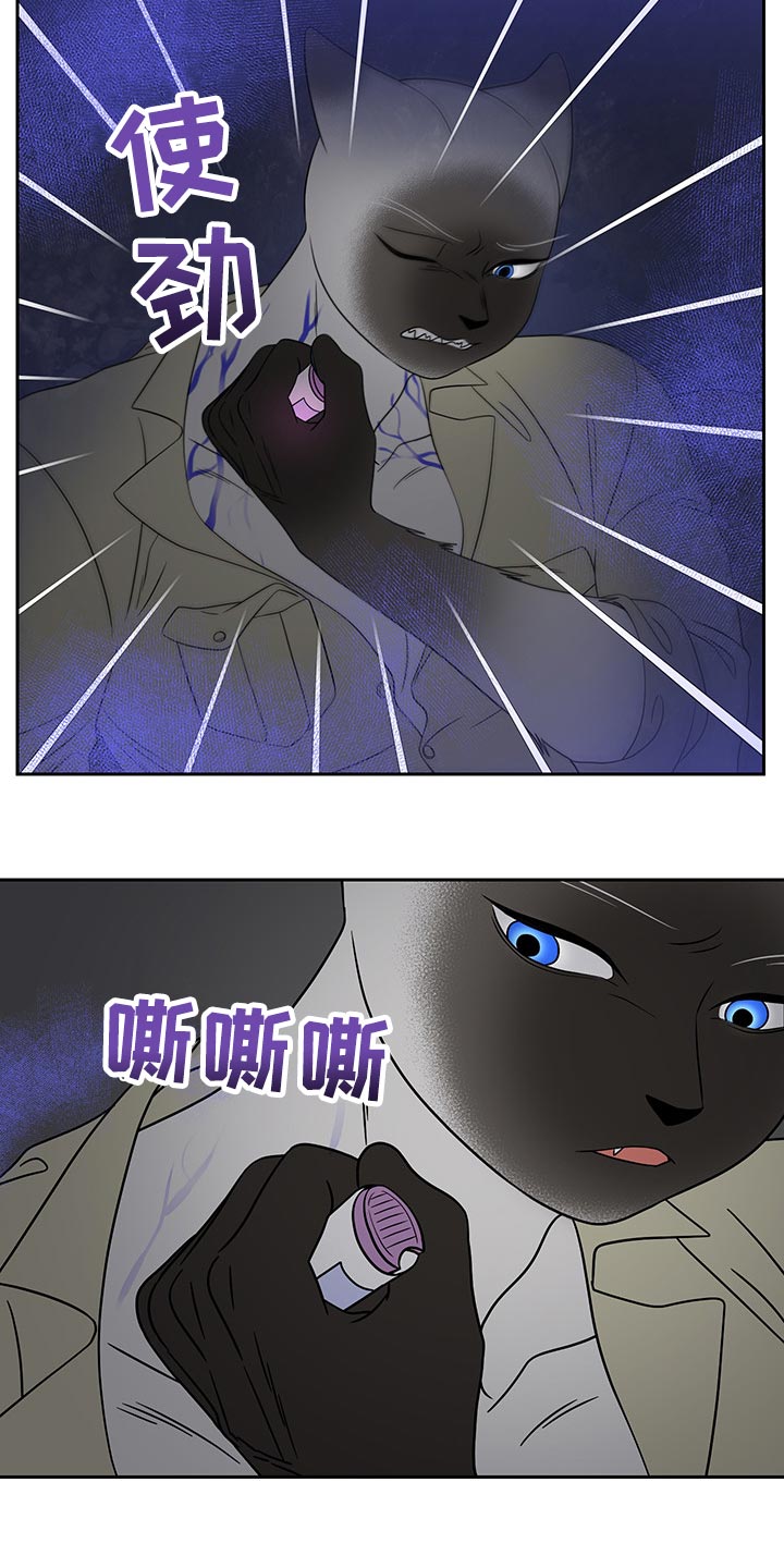 灵猫欧米伽漫蛙叫什么漫画,第40话1图