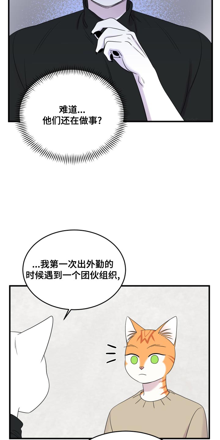 漫画灵猫欧米伽漫画,第102话2图