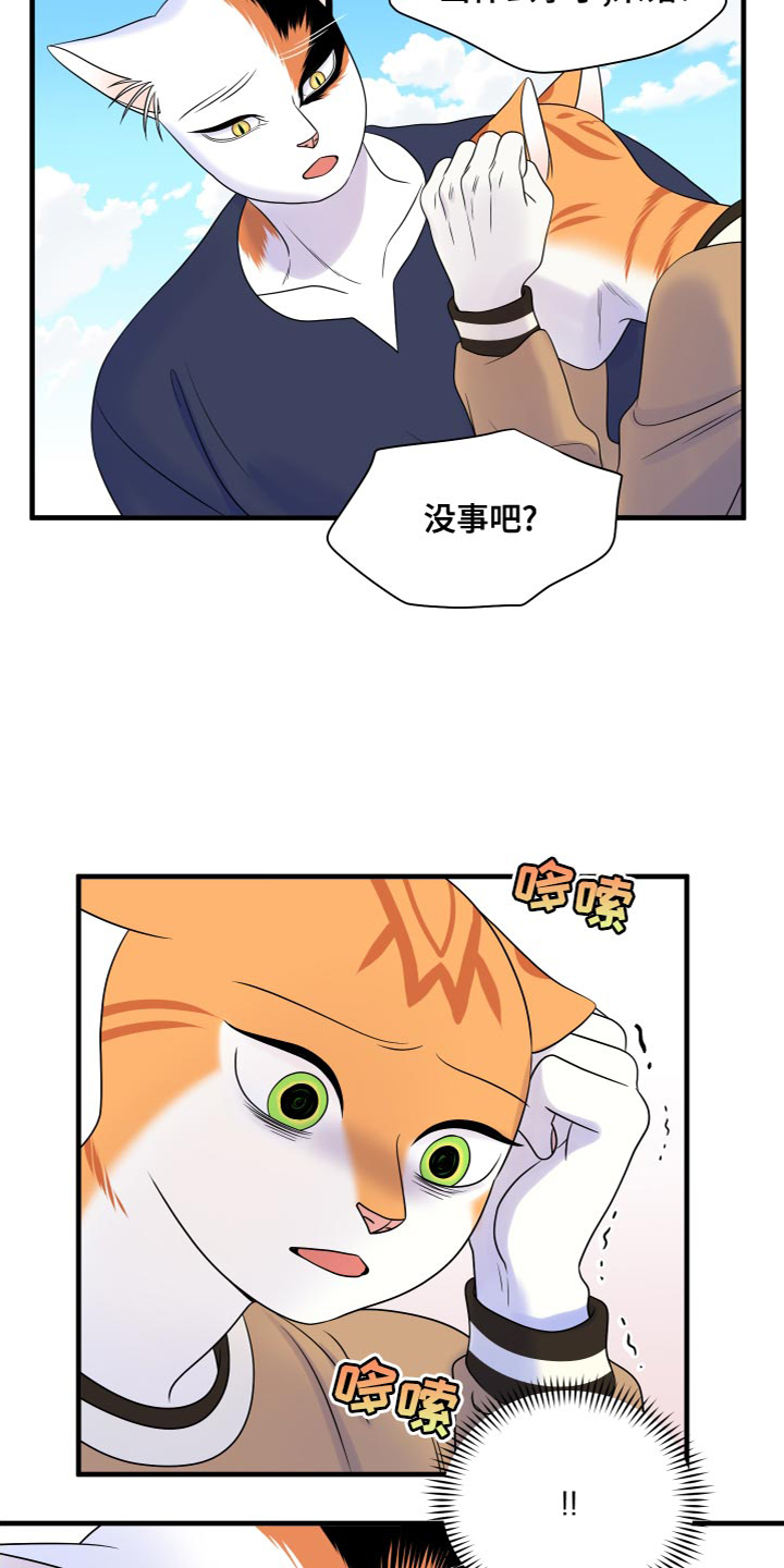 灵猫欧米伽什么时候更新第三季漫画,第95话2图