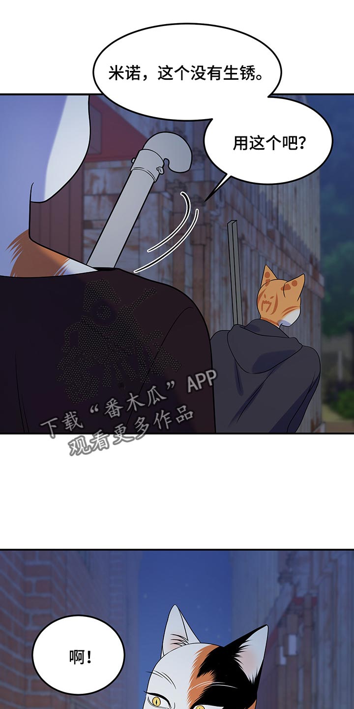 灵猫欧米伽是什么意思漫画,第36话1图