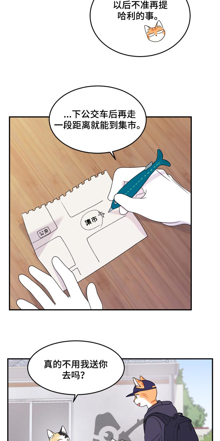 欧米伽3对猫的作用漫画,第55话1图