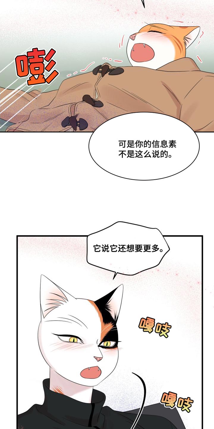 灵猫欧米伽免费漫画,第104话1图