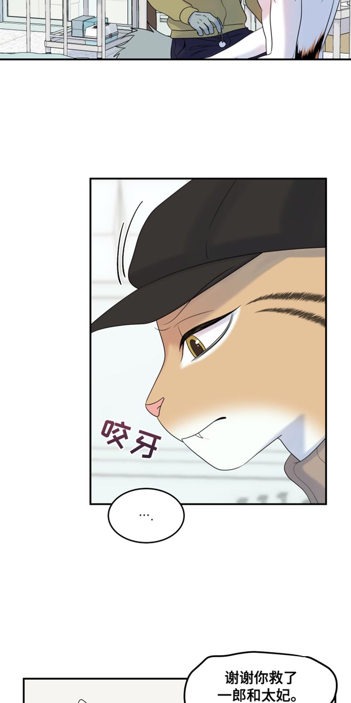 灵猫科和猫科的区别漫画,第114话2图