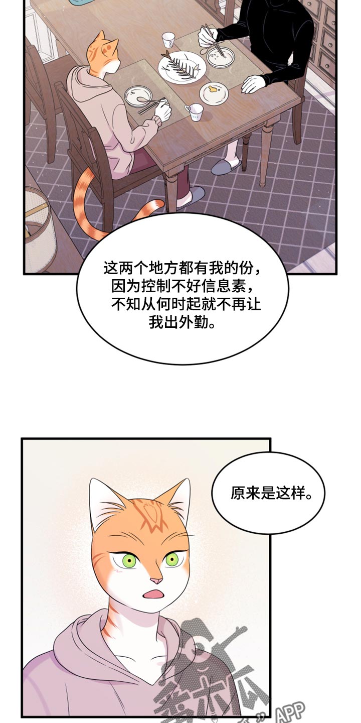 灵猫欧米伽漫画,第73话1图