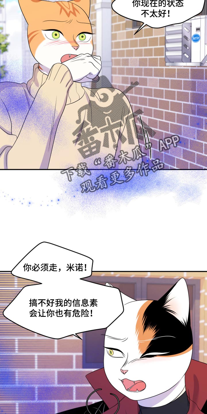 灵猫欧米迦漫画,第49话1图