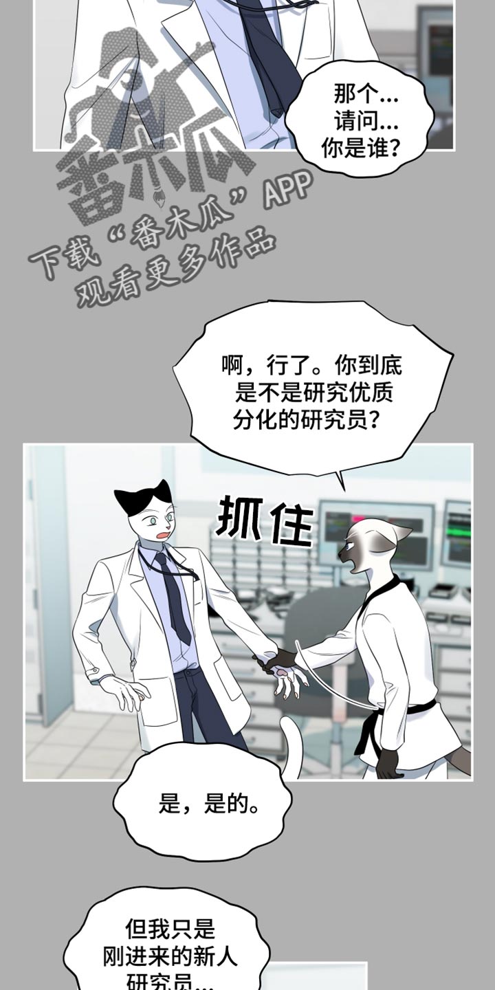 灵猫欧米茄画涯漫画,第122话2图