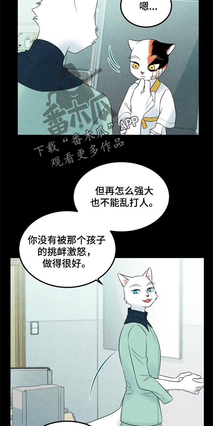 灵猫欧米伽漫画全集免费观看漫画,第70话2图