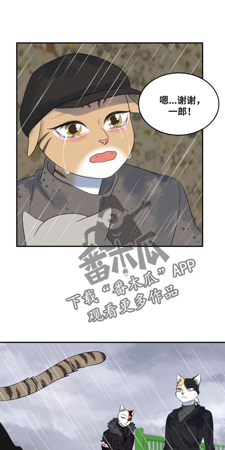 灵猫是什么动物漫画,第113话2图