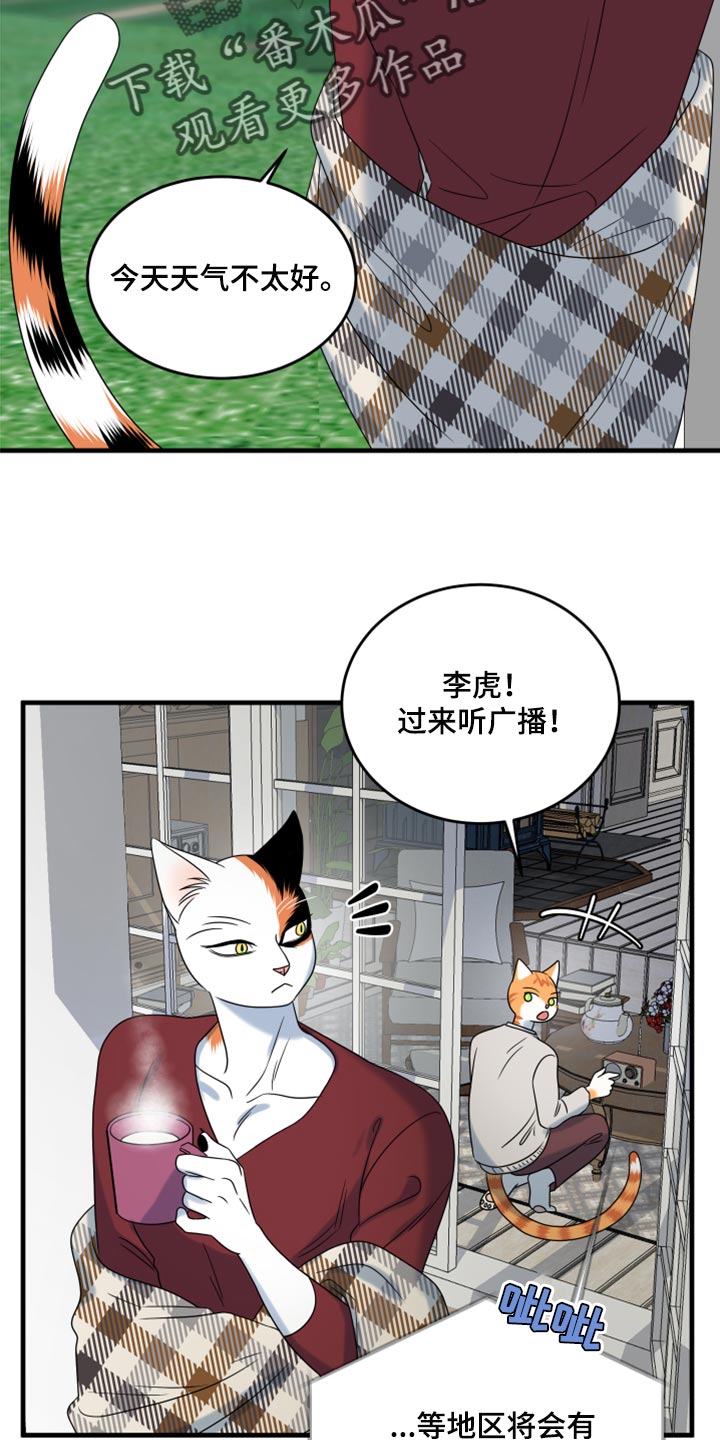 灵猫欧米伽第三季156章漫画,第88话2图