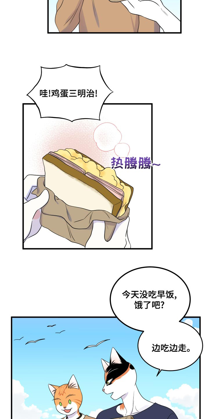 灵猫欧米伽免费版在哪里看漫画,第94话1图