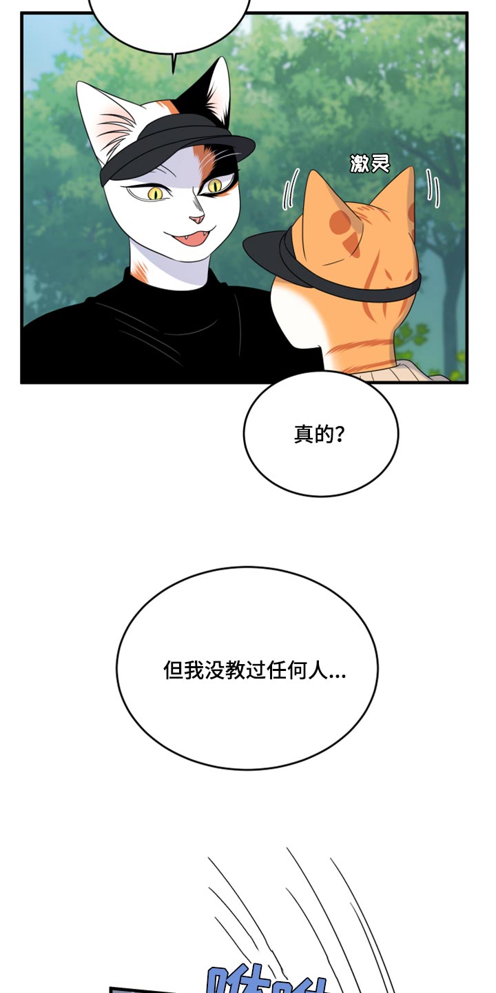 灵猫欧米伽什么时候更新第三季漫画,第87话2图