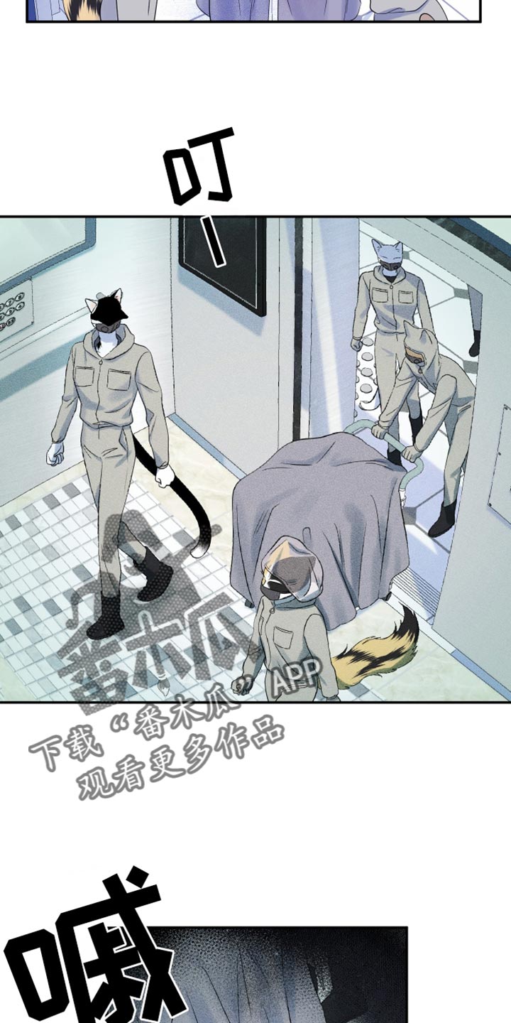 灵猫欧米伽漫画,第123话2图
