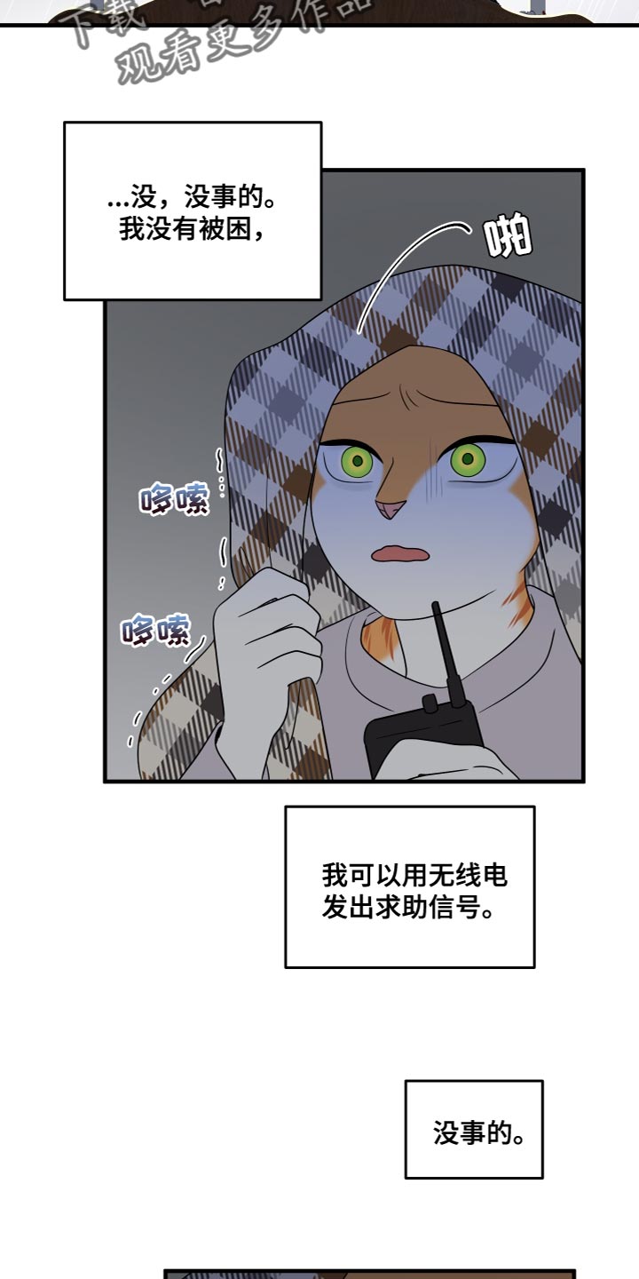 灵猫欧米伽免费阅读漫画,第109话2图