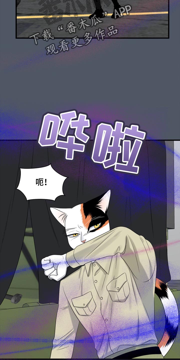 灵猫欧米茄画涯漫画,第81话2图