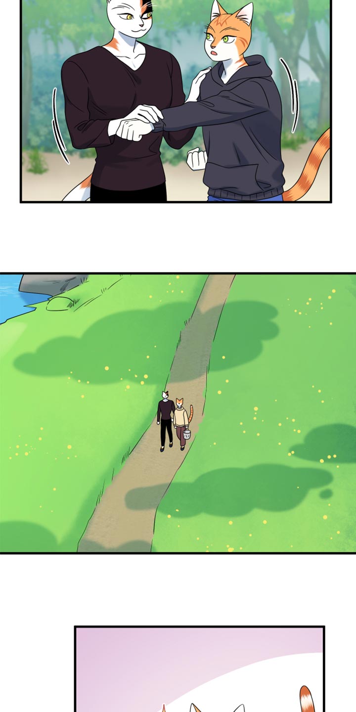 灵猫欧米伽免费漫画,第87话2图