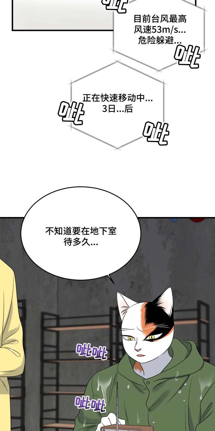 灵猫欧米伽漫画,第88话1图