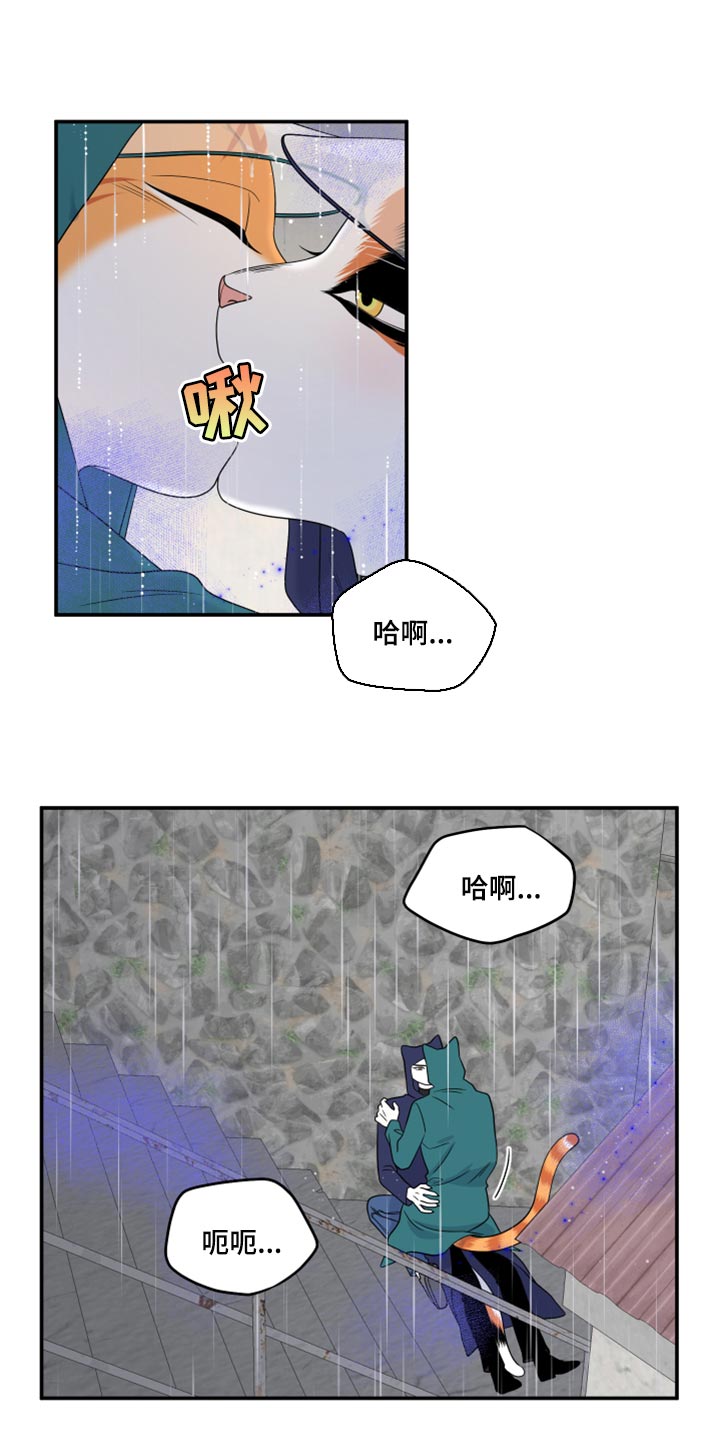 灵猫欧米伽免费阅读漫画,第53话1图