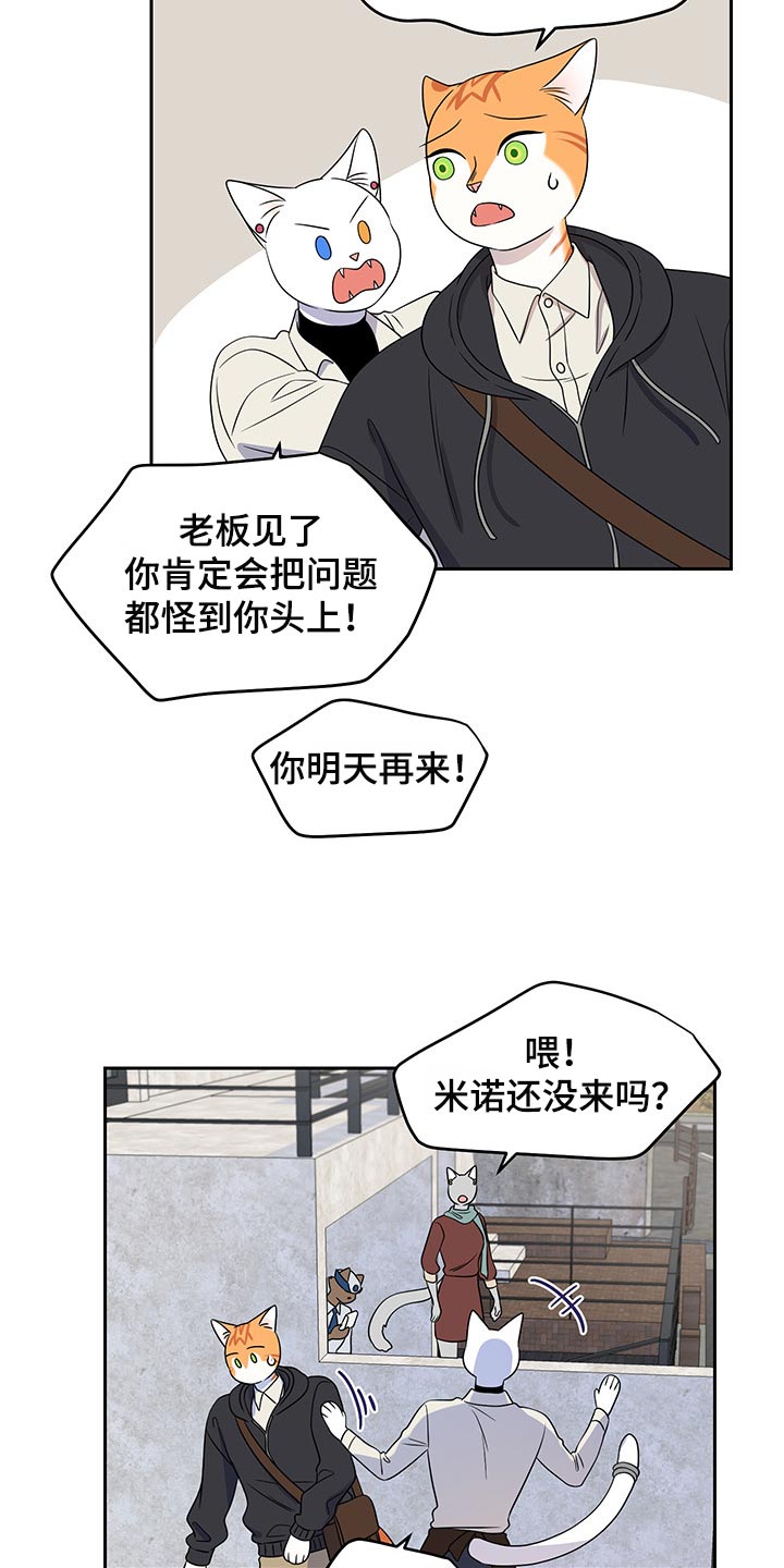 灵猫欧米伽漫画,第43话1图