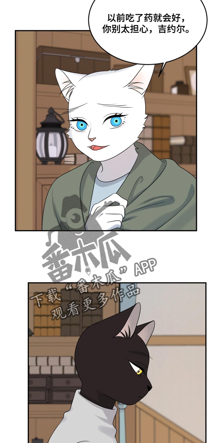 灵猫欧米伽免费阅读漫画,第145话1图