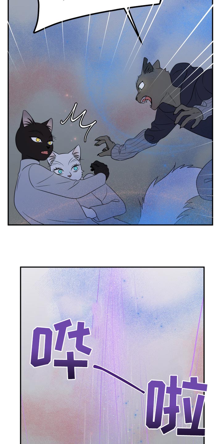 灵猫欧米伽漫画免费漫画,第148话1图