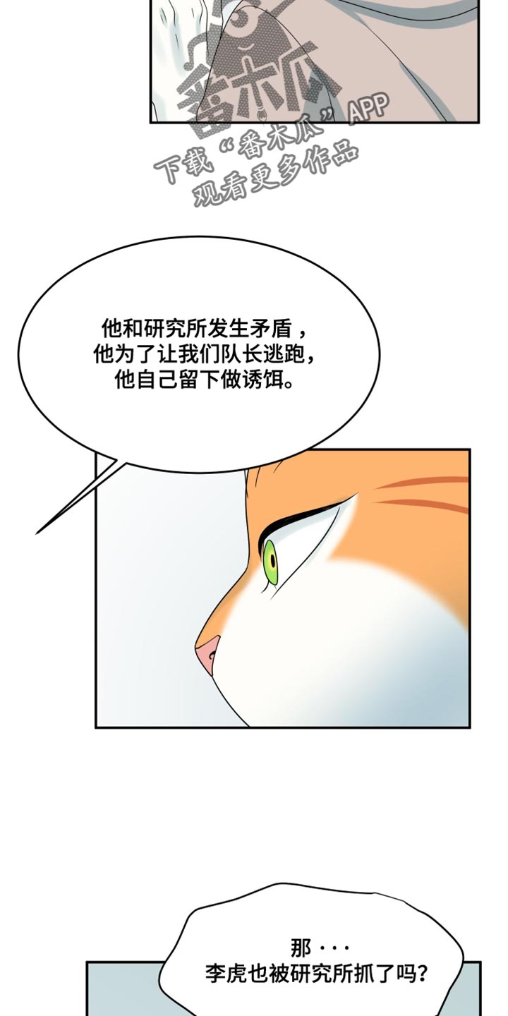 灵猫欧米伽漫画全集免费下拉式漫画,第160话1图