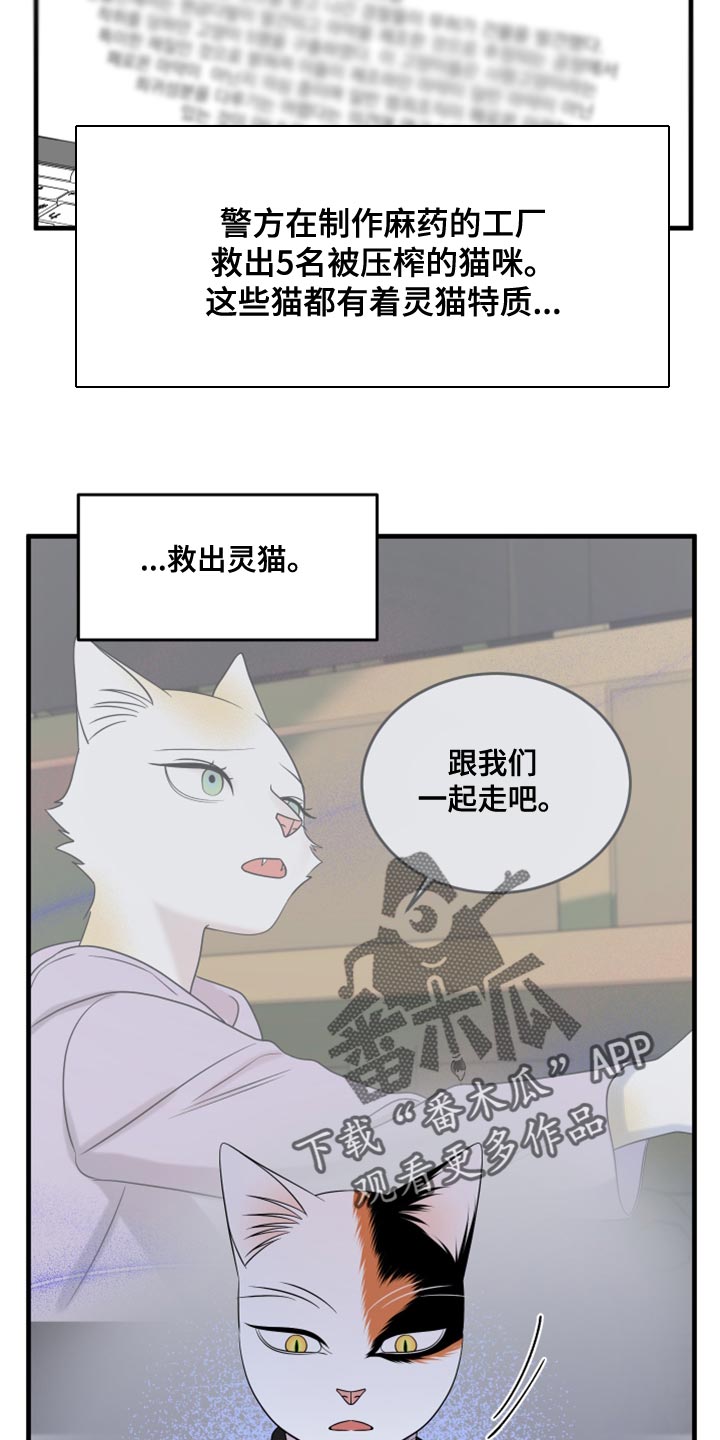 漫画灵猫欧米伽漫画,第102话1图