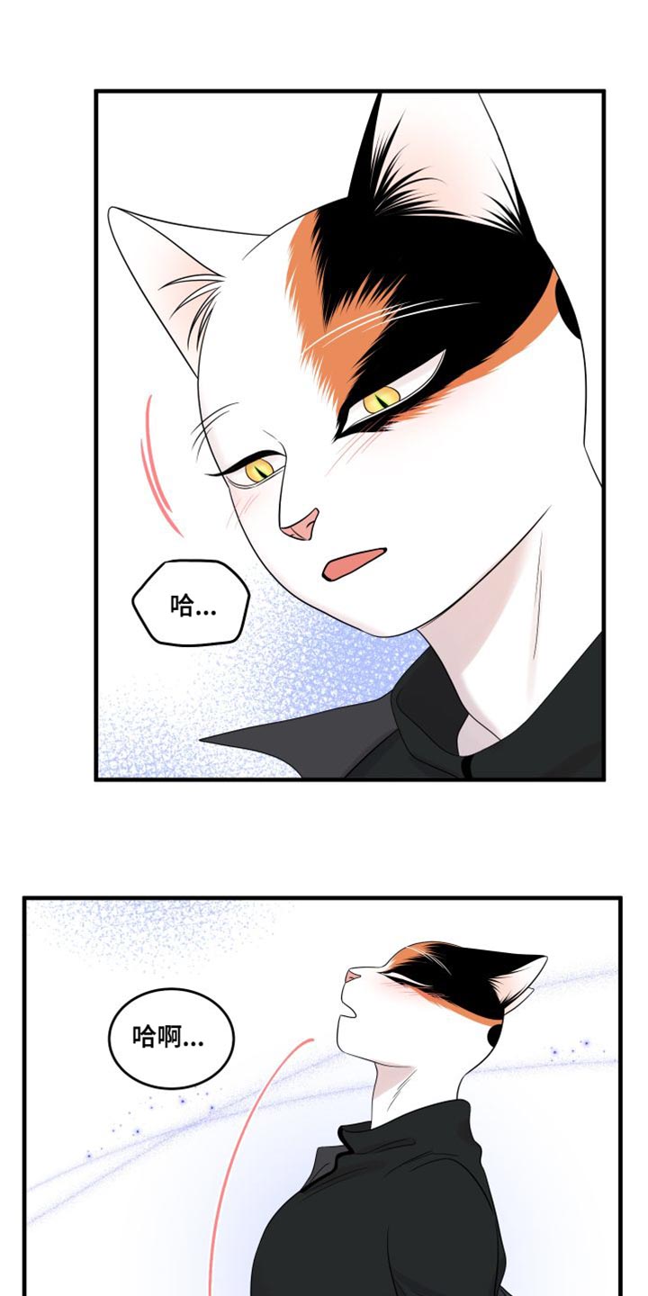 灵猫欧米伽免费漫画,第104话1图
