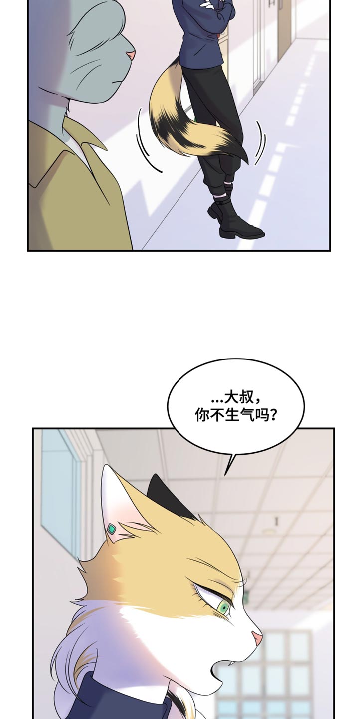 灵猫欧米伽是双男主吗漫画,第114话1图