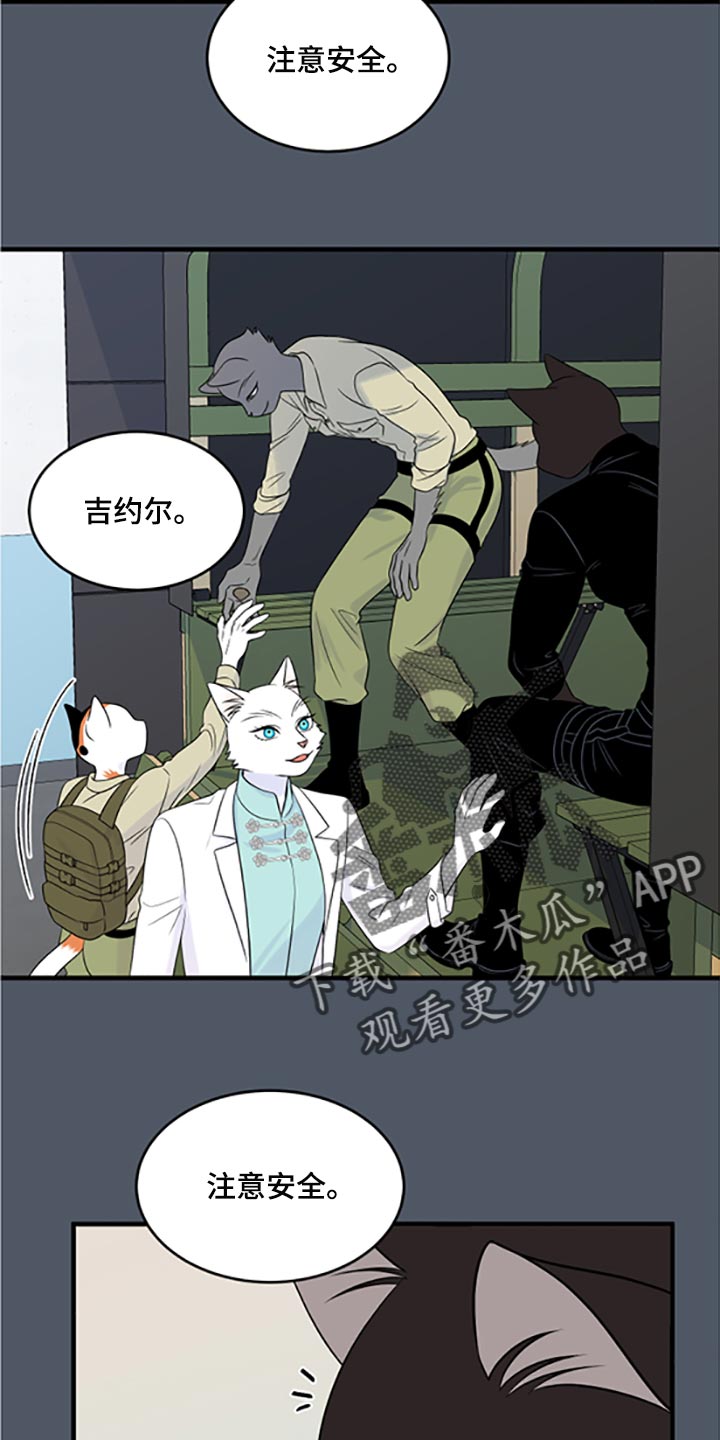 灵猫欧米茄画涯漫画,第79话2图