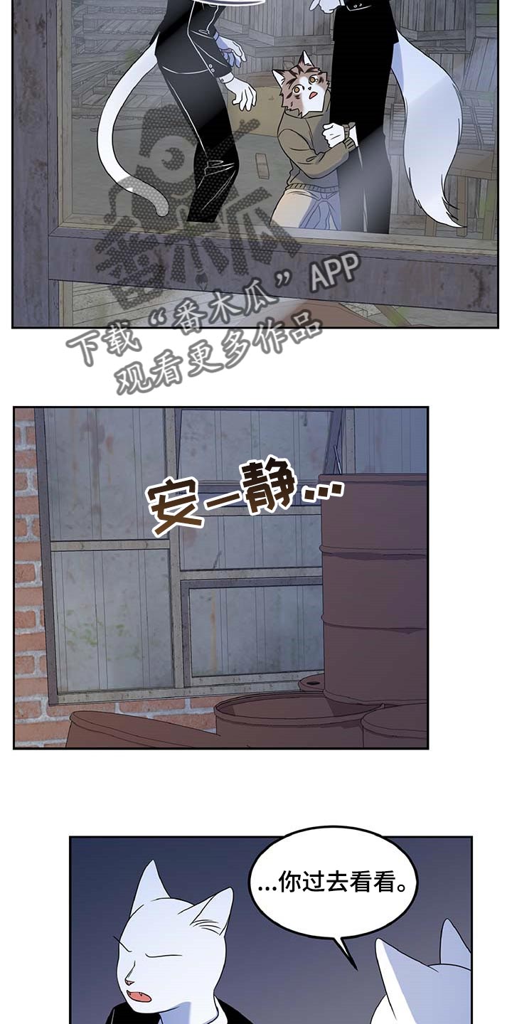 灵猫欧米伽视频漫画,第37话1图