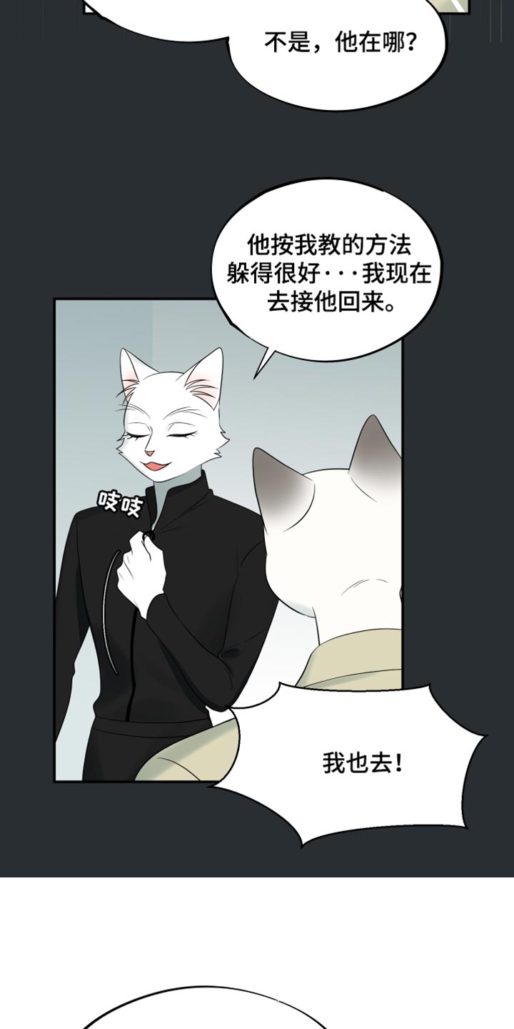 欧米伽3对猫的作用漫画,第121话2图