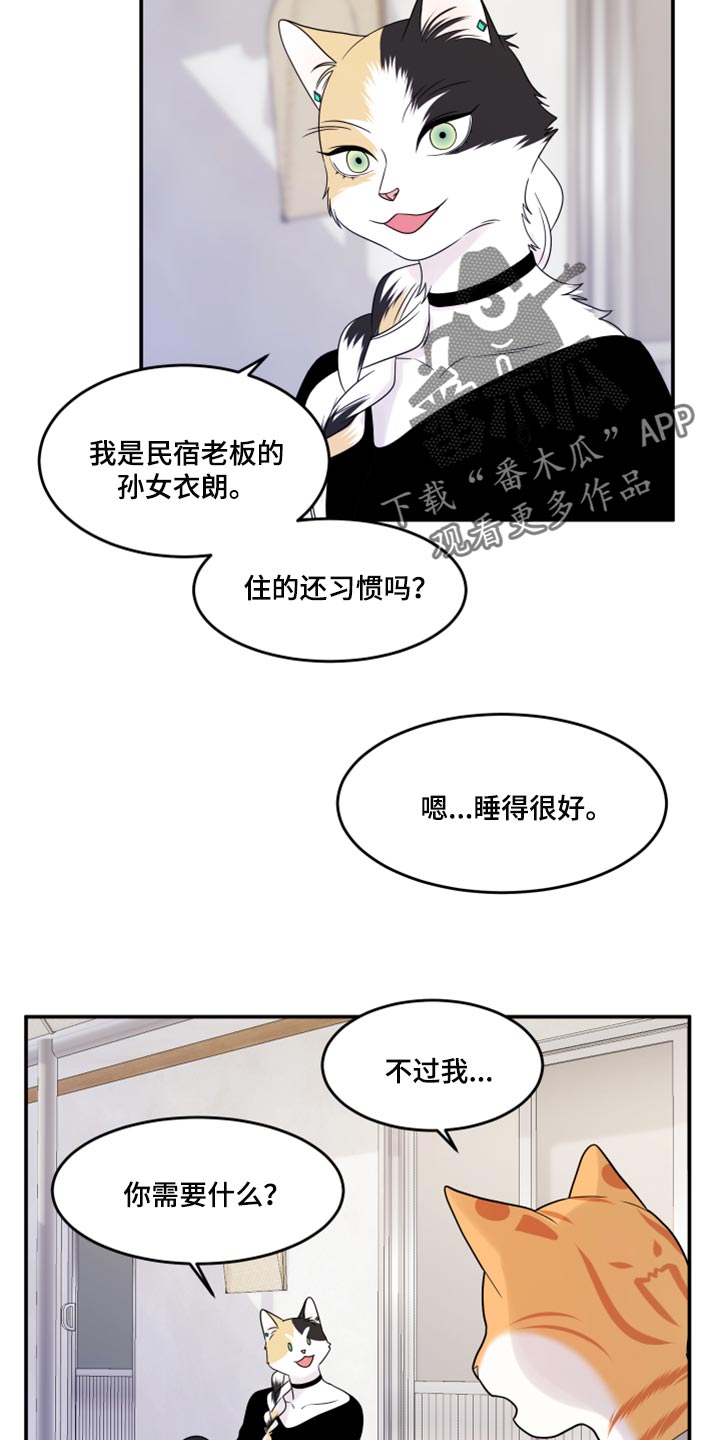 灵猫欧米伽免费阅读漫画,第54话2图