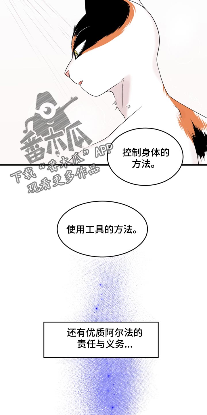 灵猫欧米伽漫画,第69话2图