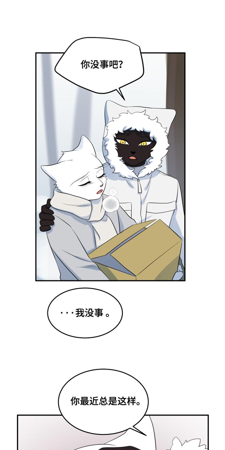 灵猫欧米伽免费阅读漫画,第144话1图