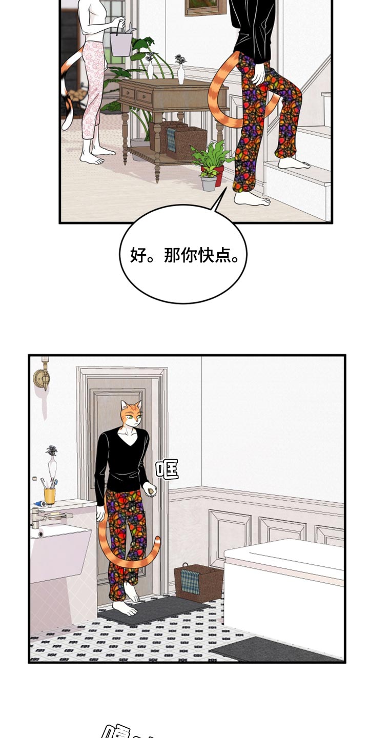 灵猫欧米伽完整版漫画,第69话2图