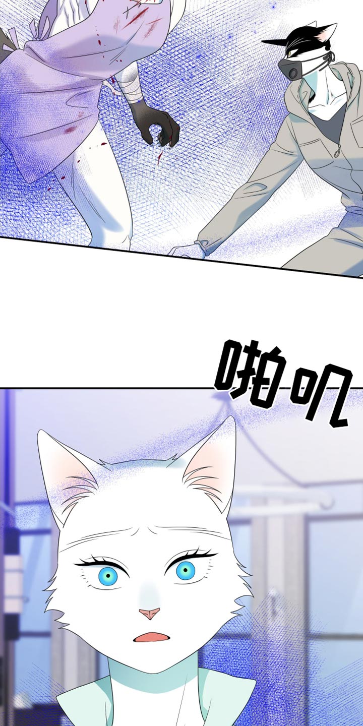 灵猫欧米伽合集漫画,第128话1图