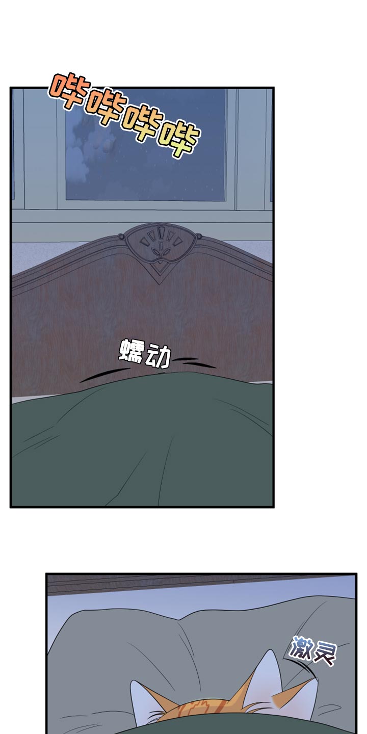 灵猫欧米伽双猫漫画,第66话2图