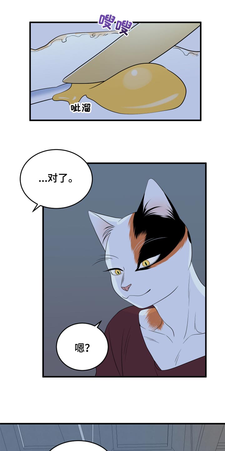 灵猫欧米伽免费漫画,第66话2图