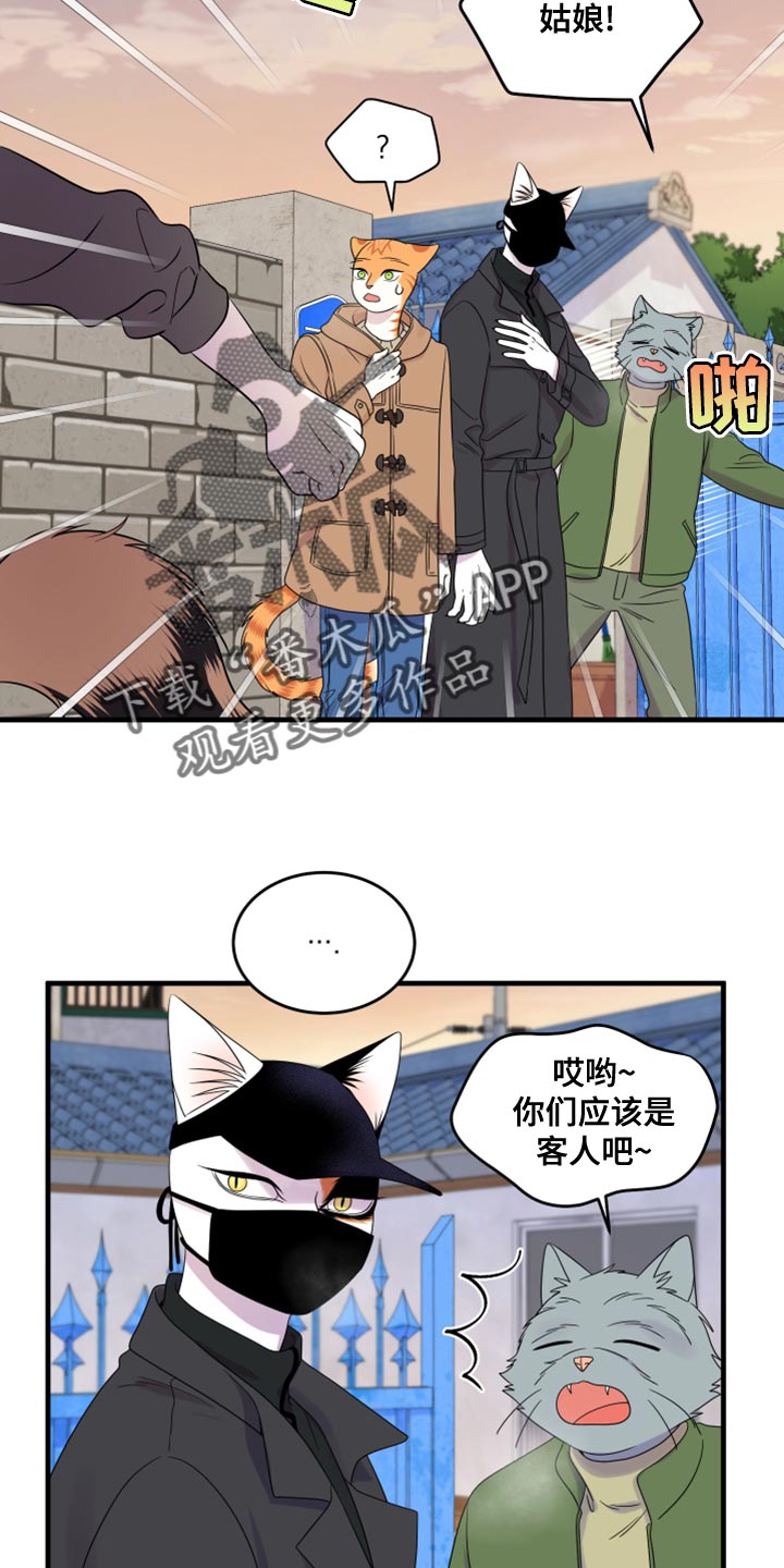 灵猫欧米伽免费阅读漫画,第102话2图