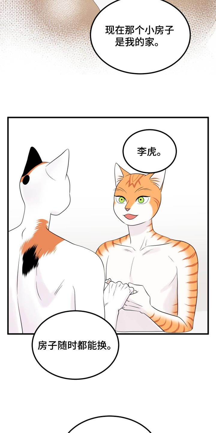 灵猫欧米伽漫画在哪里看漫画,第71话1图