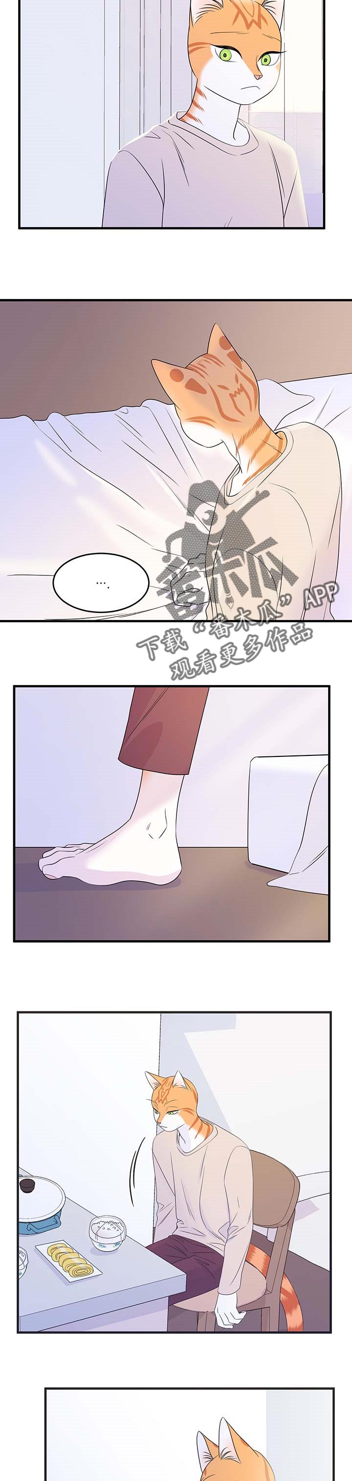 灵猫欧米伽免费阅读漫画,第26话1图