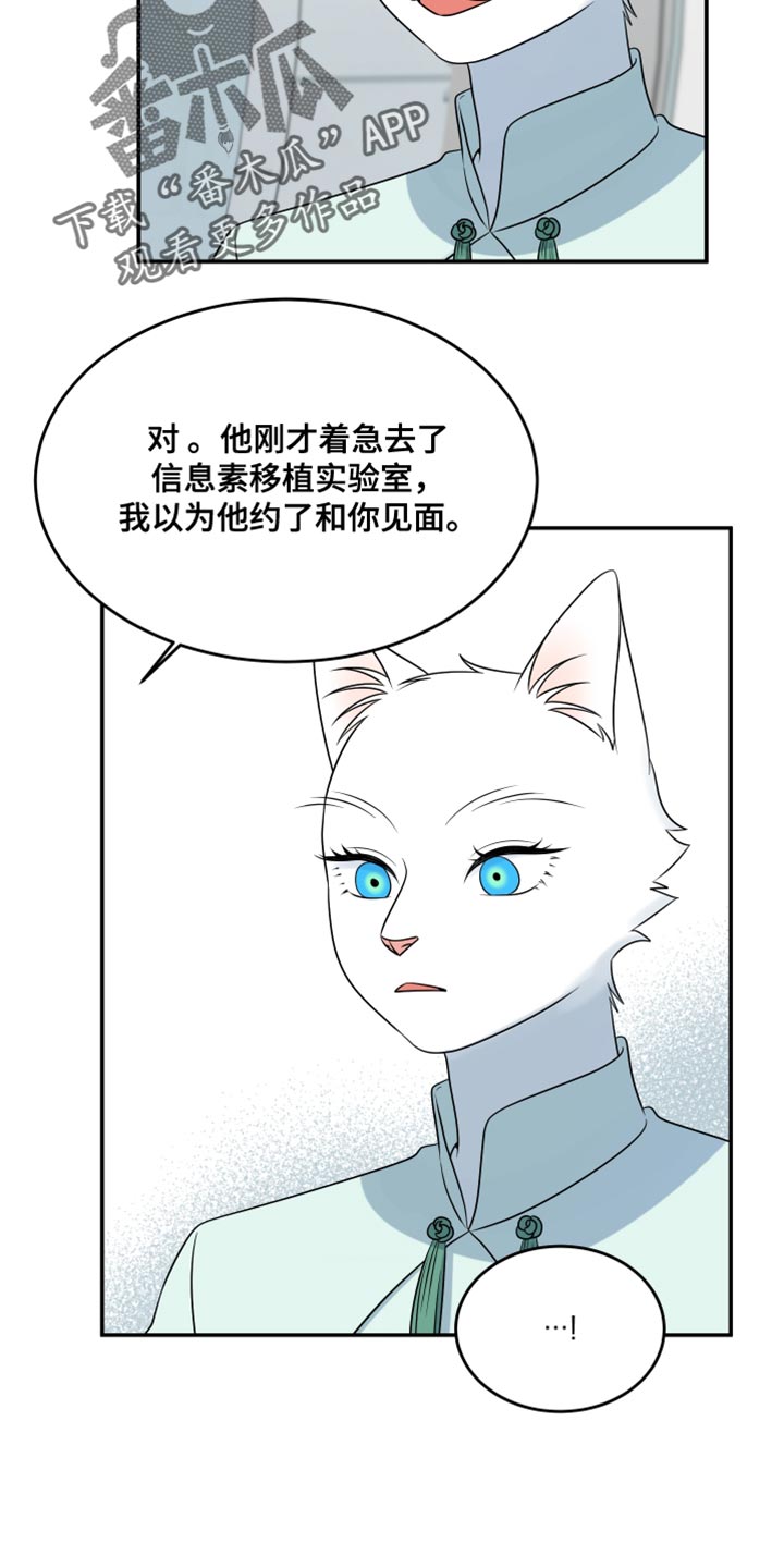 灵猫是什么动物漫画,第136话2图