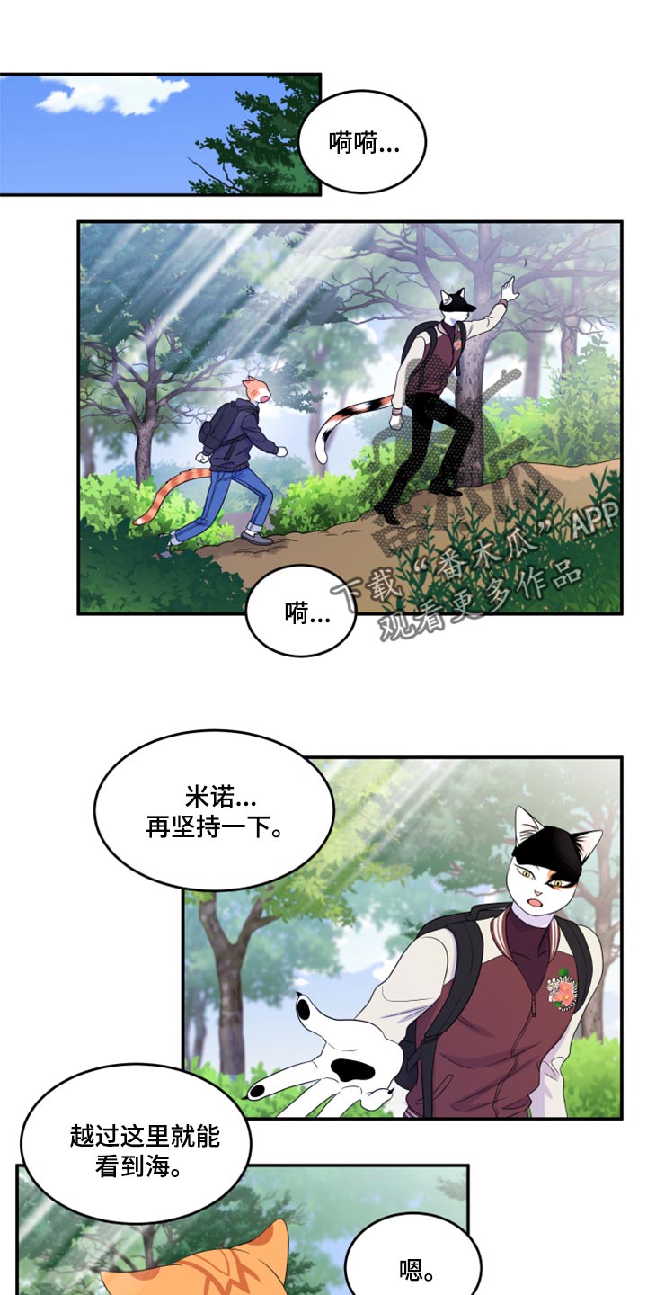 灵猫欧米伽漫画免费观看漫画,第60话1图