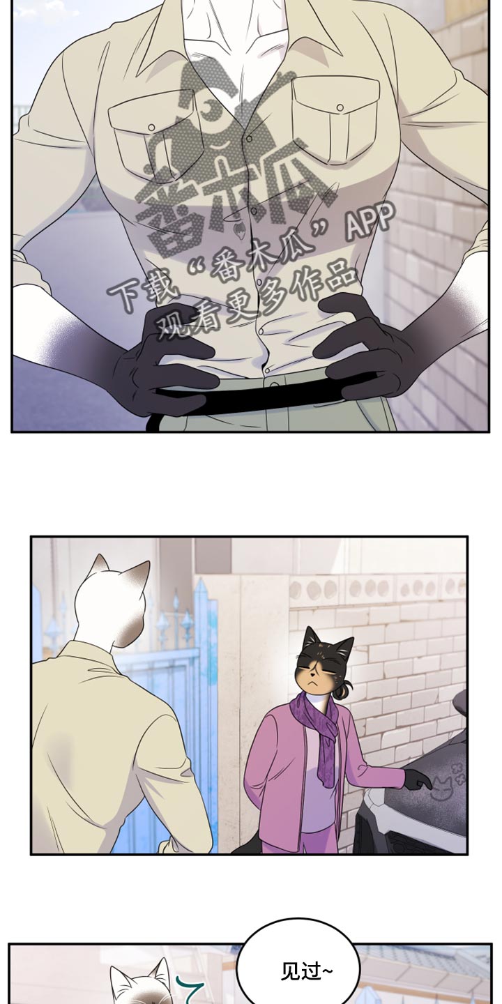 灵猫欧米伽动漫漫画,第55话1图