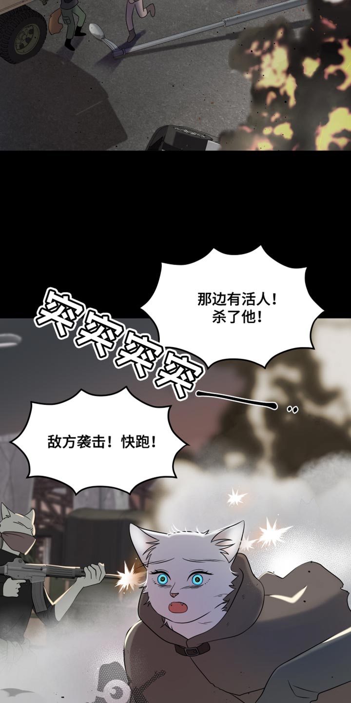 灵猫欧米伽免费阅读漫画,第136话2图